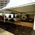 120728_Yard5_019