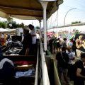 120728_Yard5_031