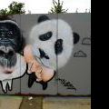 120728_Yard5_073