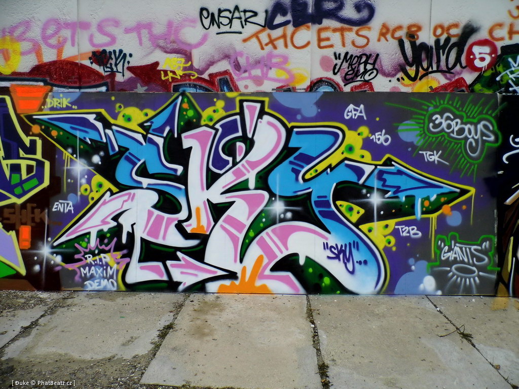 120728_Yard5_083