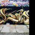 120728_Yard5_084