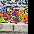 120728_Yard5_089