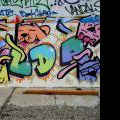120728_Yard5_090