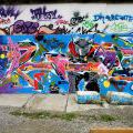 120728_Yard5_094