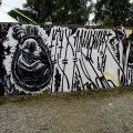 120728_Yard5_105