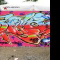120728_Yard5_115