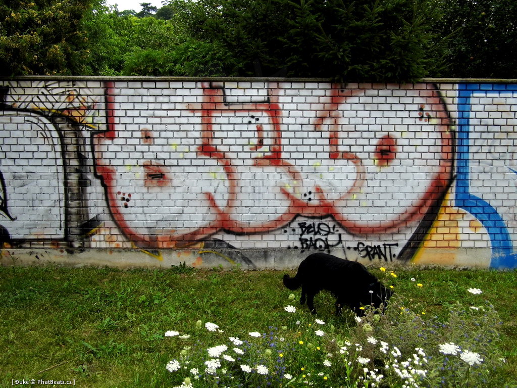 120805_Belarie_02