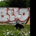 120805_Belarie_02