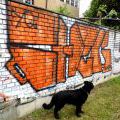 120805_Belarie_06