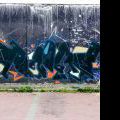 120805_Belarie_46