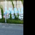 120805_Beranek_02