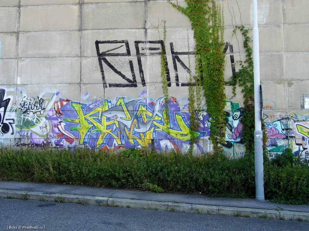 120805_Beranek_03