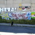 120805_Beranek_04
