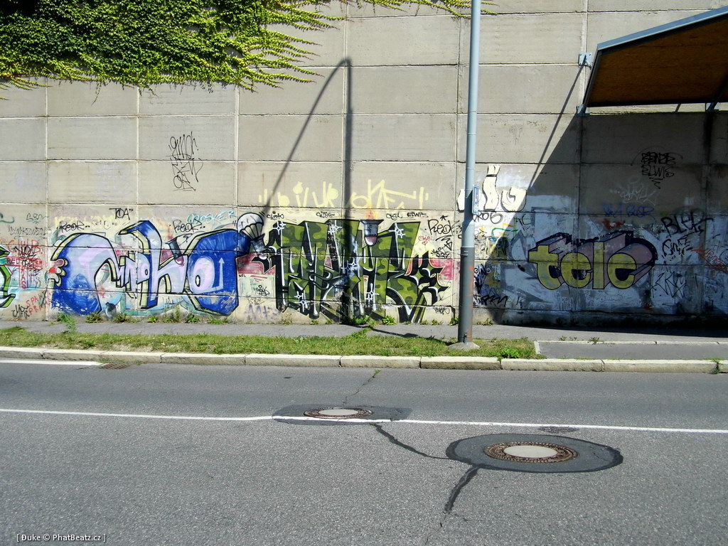 120805_Beranek_11
