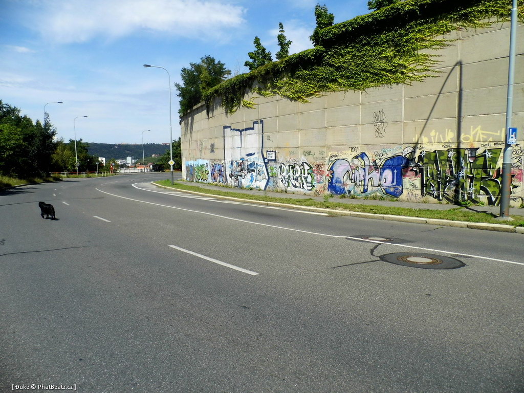 120805_Beranek_12