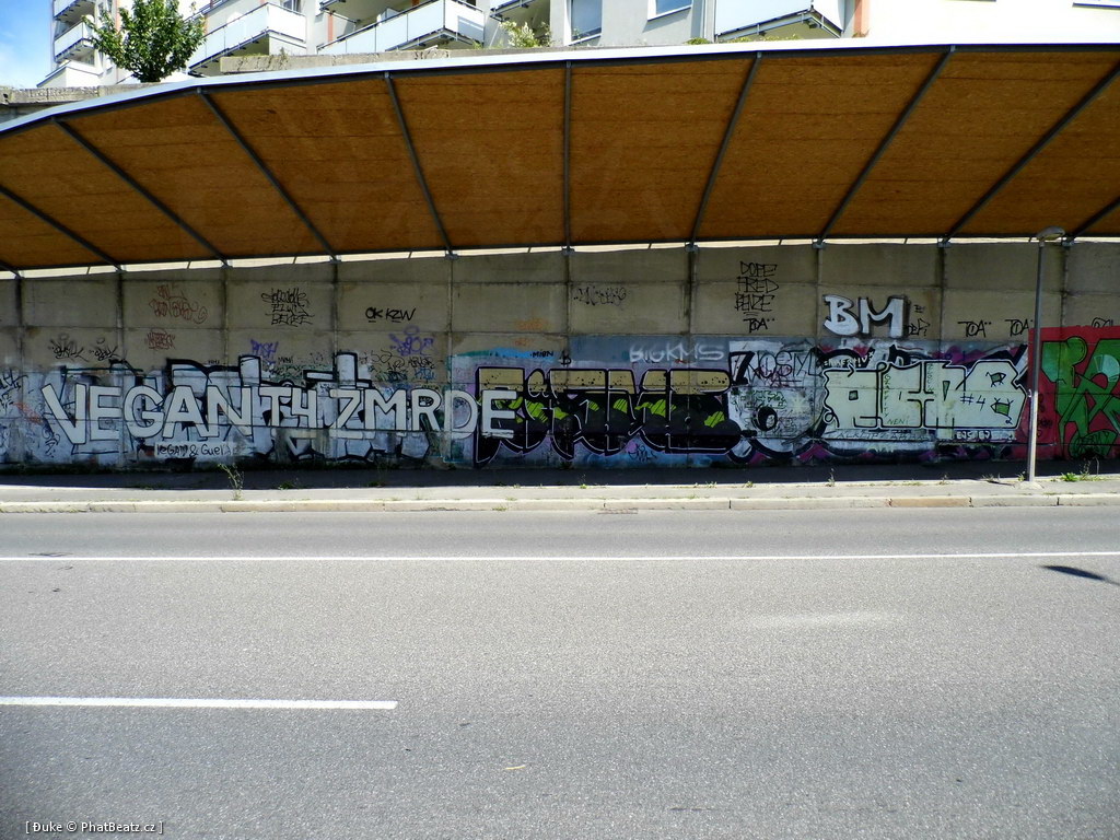 120805_Beranek_13