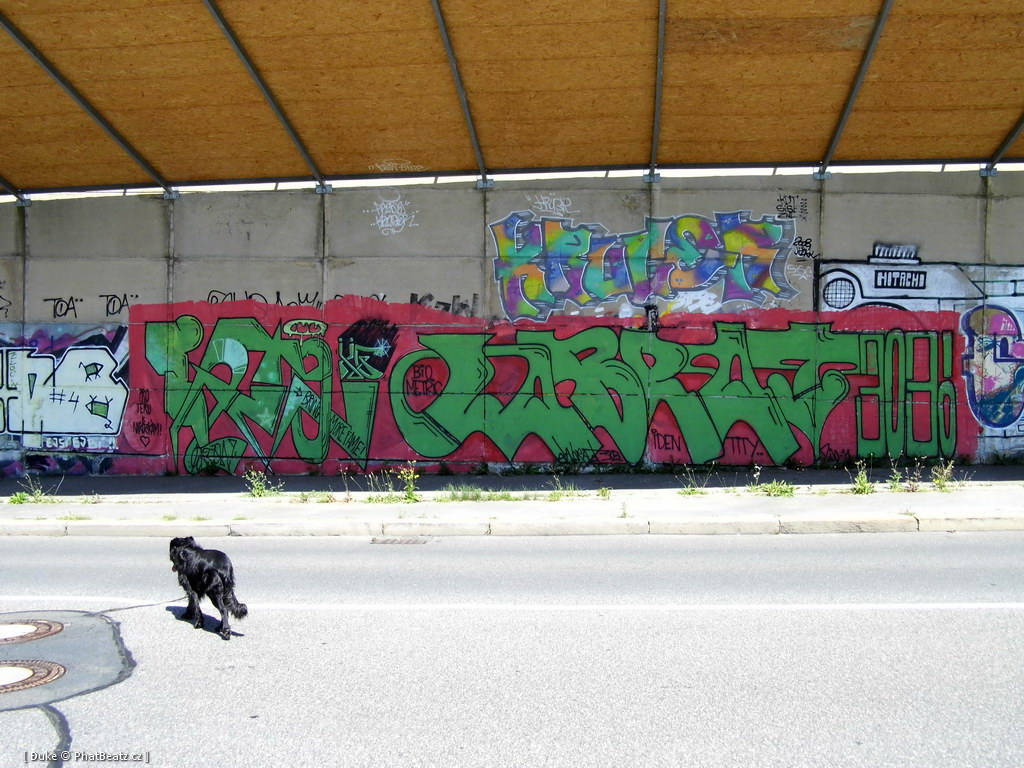 120805_Beranek_14
