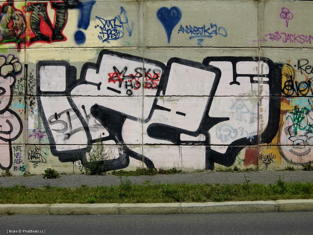 120805_Beranek_21