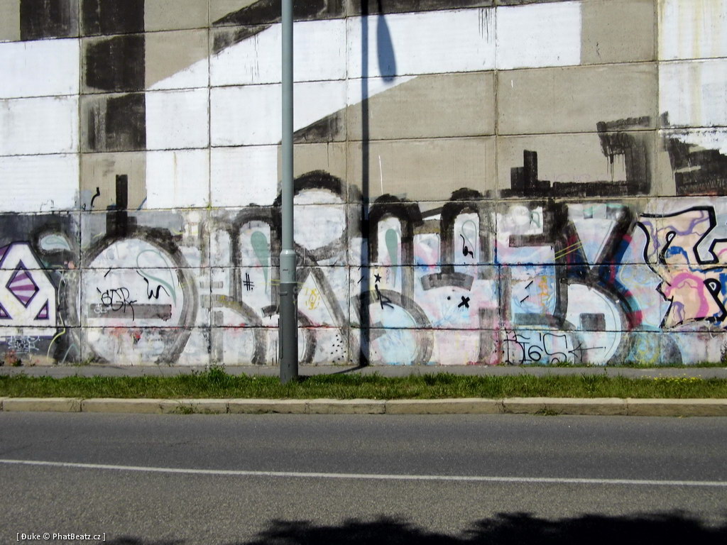 120805_Beranek_43