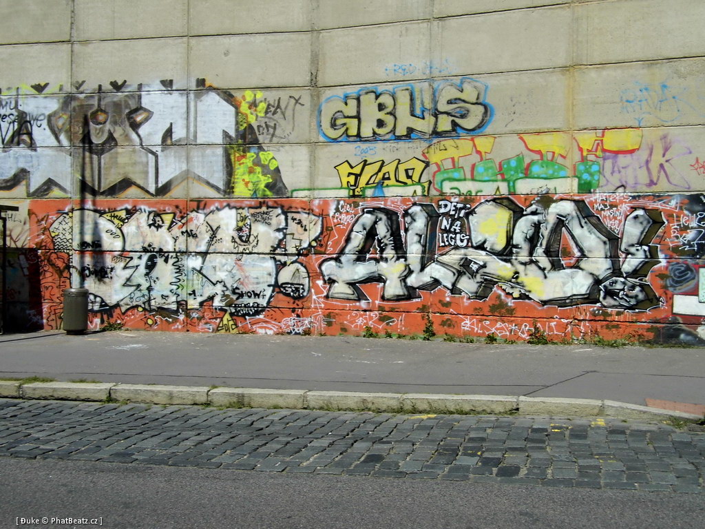 120805_Beranek_53
