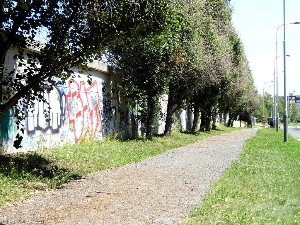 120805_Beranek_66