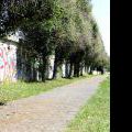 120805_Beranek_66