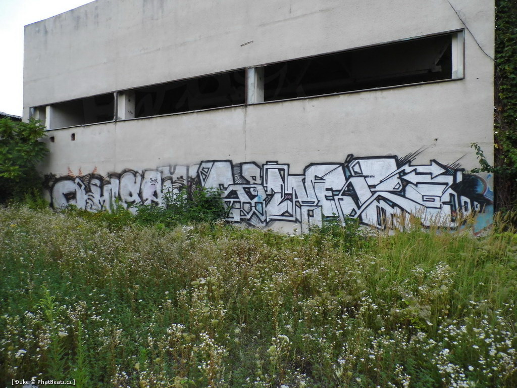 120805_Karlin_004