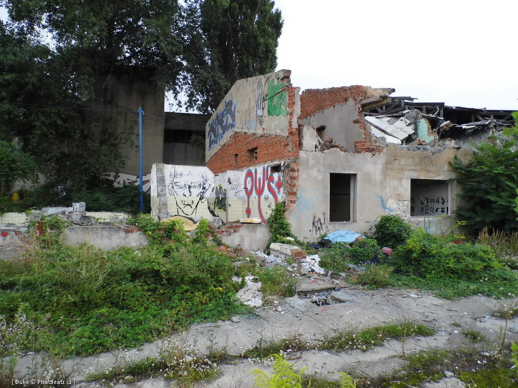 120805_Karlin_008
