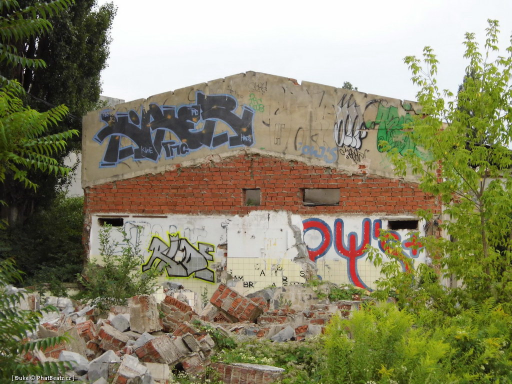 120805_Karlin_009