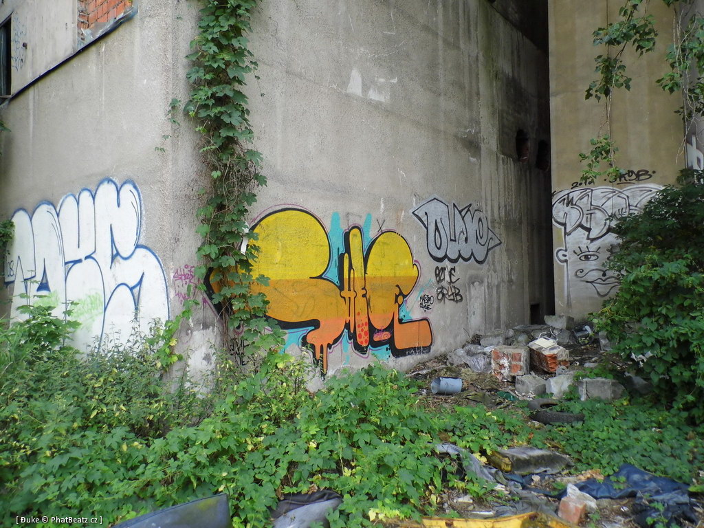 120805_Karlin_011