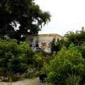 120805_Karlin_027