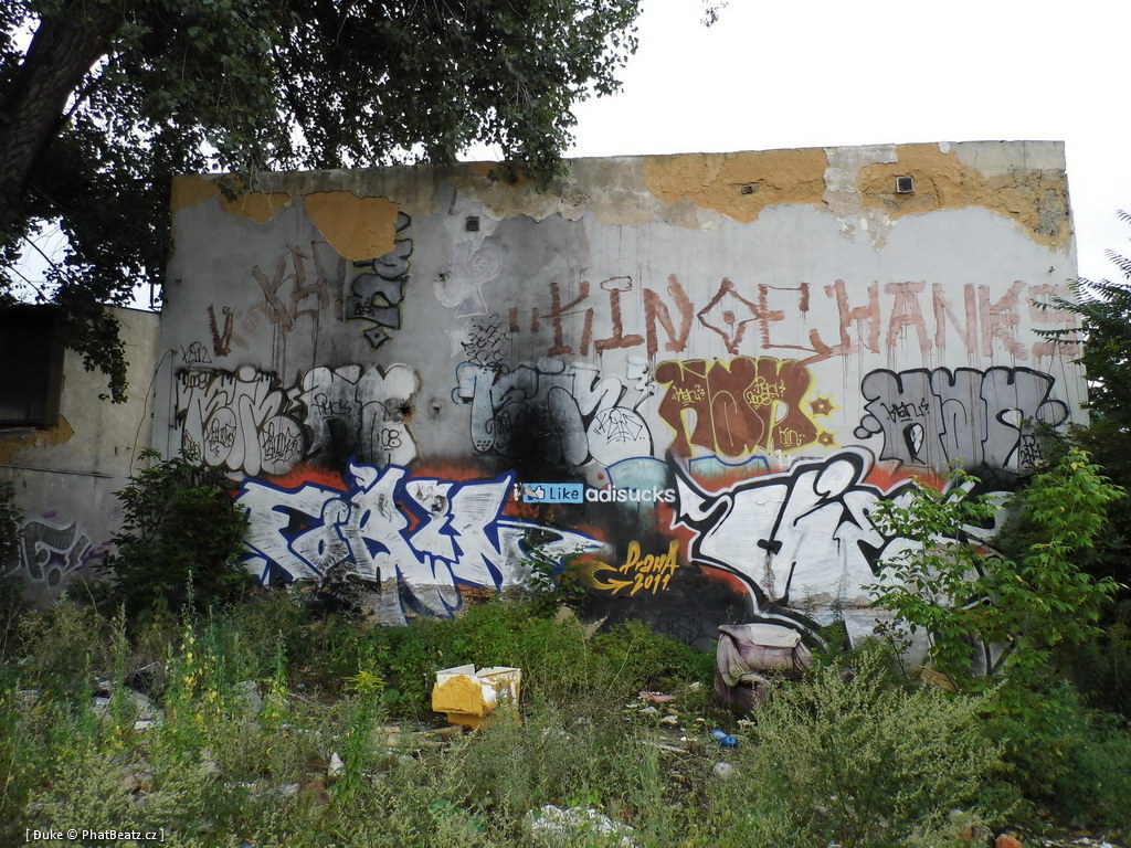 120805_Karlin_029
