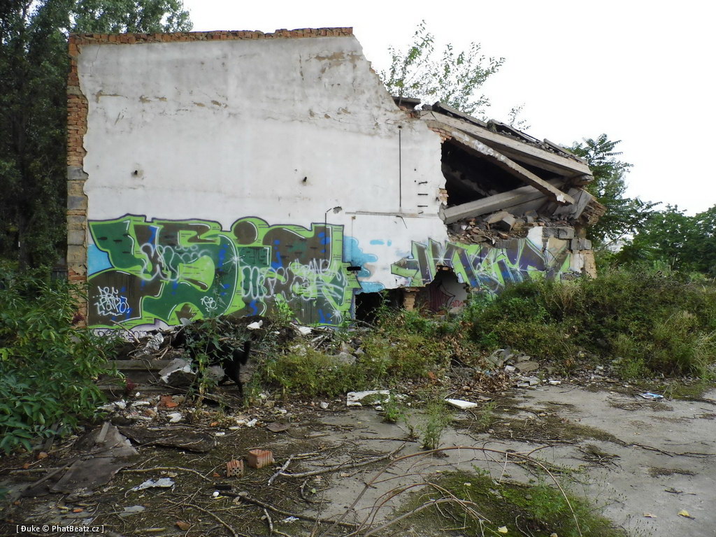 120805_Karlin_035