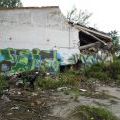 120805_Karlin_035