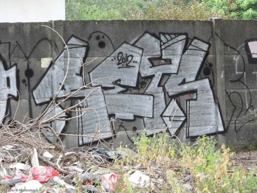 120805_Karlin_045