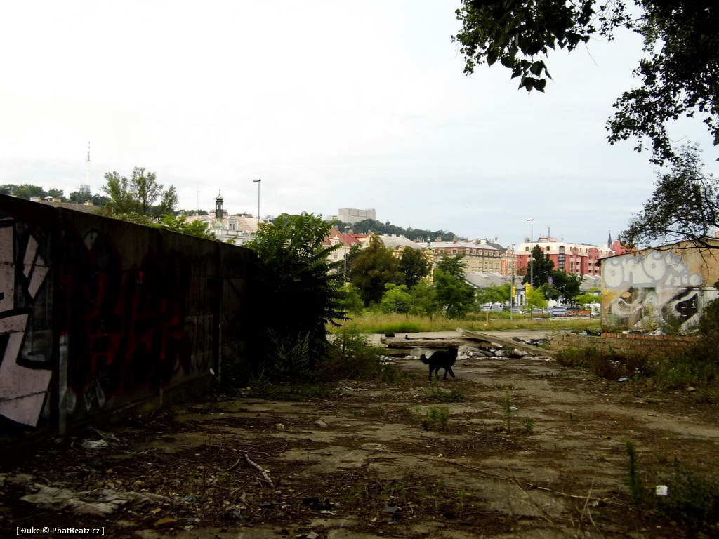 120805_Karlin_049