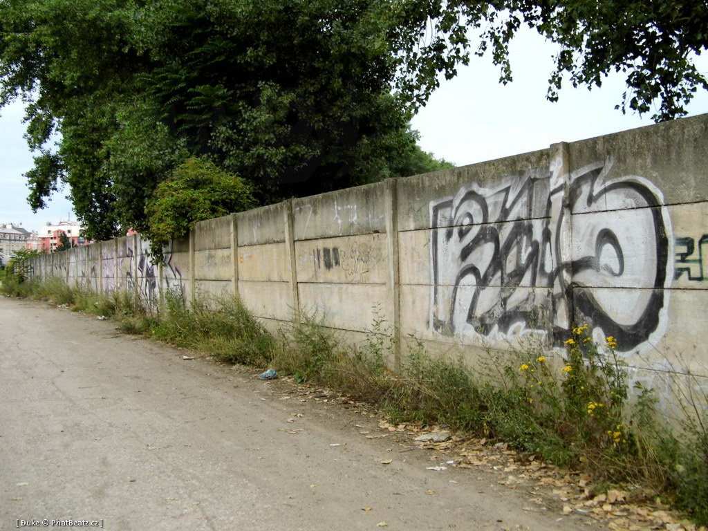 120805_Karlin_055