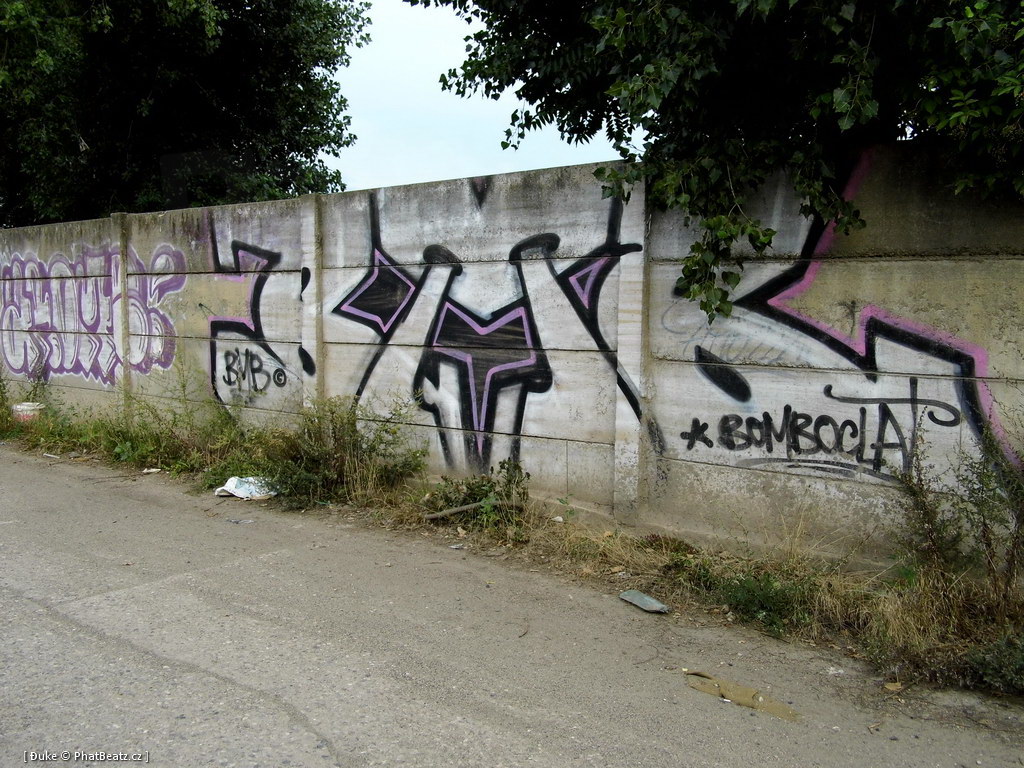 120805_Karlin_056