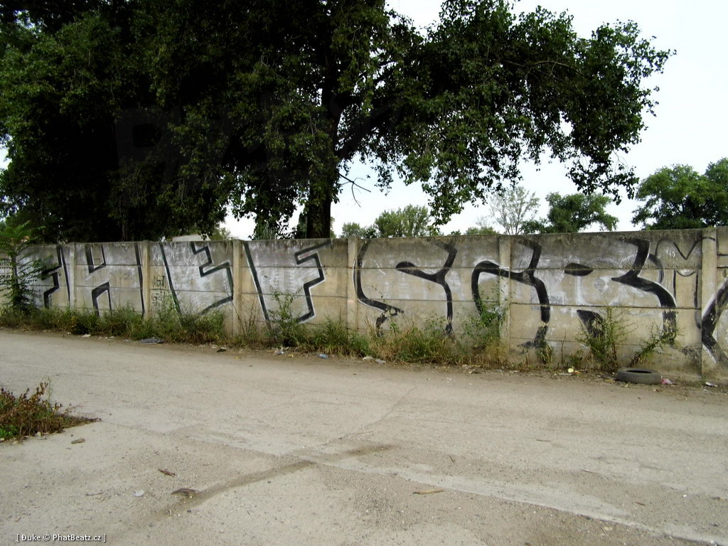 120805_Karlin_058