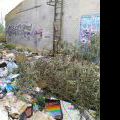 120805_Karlin_075