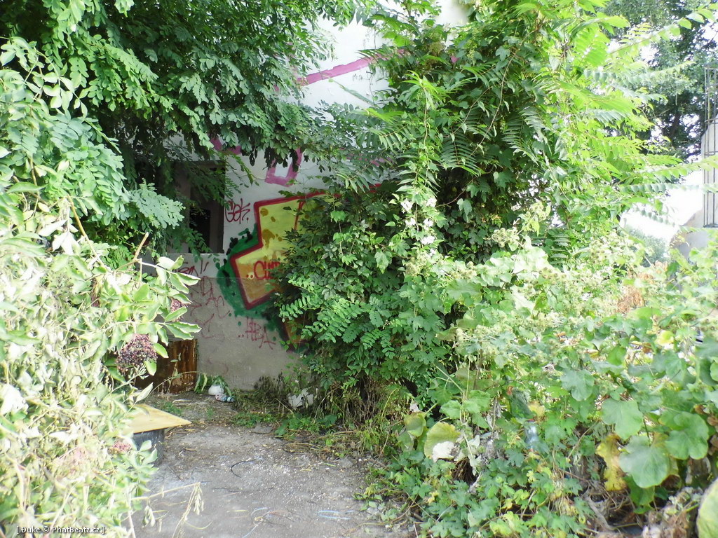 120805_Karlin_076