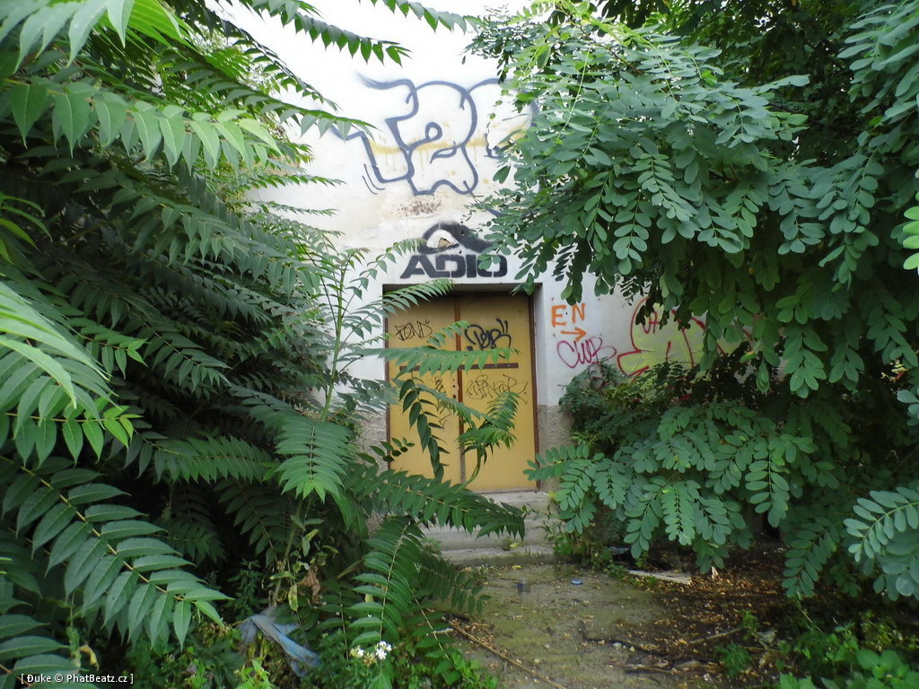 120805_Karlin_077