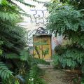120805_Karlin_077