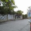 120805_Karlin_085