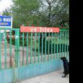 120805_Karlin_096