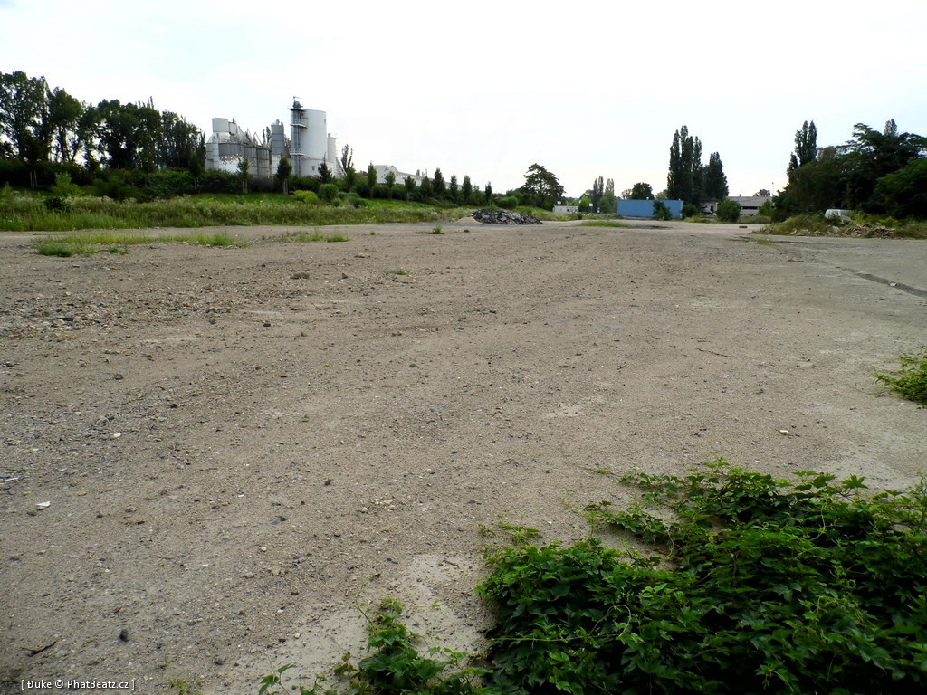 120805_Karlin_101