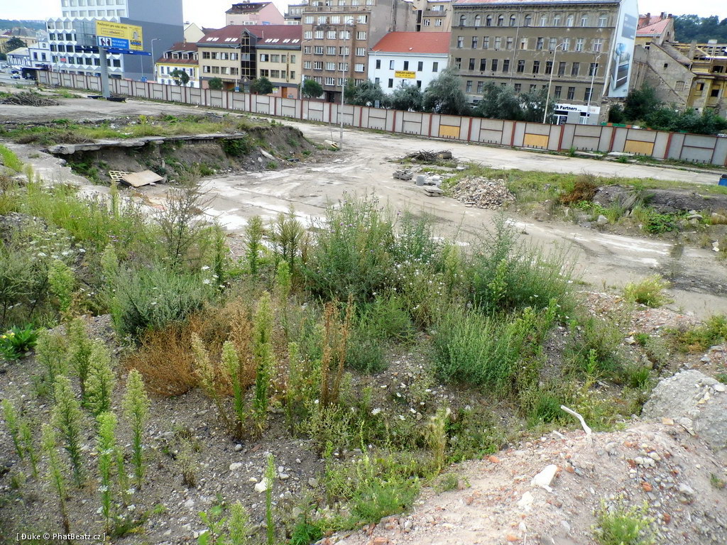 120805_Karlin_103