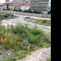 120805_Karlin_103