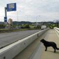 120805_PobrezniCesta_62