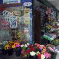 120806_Kodan_06